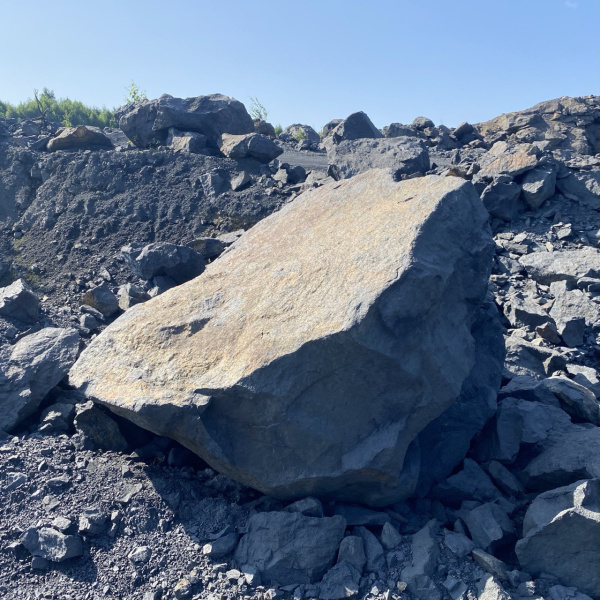 Шунгит фр. 200+ см