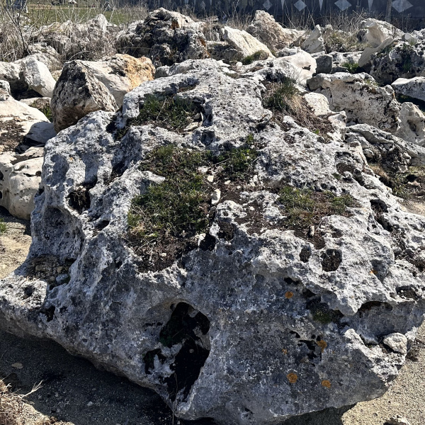 Валуны с мхом