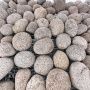 Галька речная белая "Альбинос" фр. 70-120 мм
